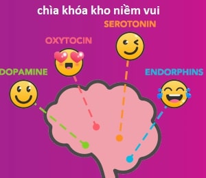 Mở khóa 4 hormone-yêu-đời để sống khỏe và vui